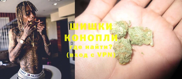 сатива Няндома