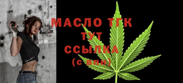 крисы Новозыбков