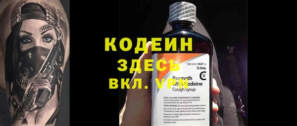 сатива Няндома