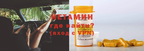 крисы Новозыбков