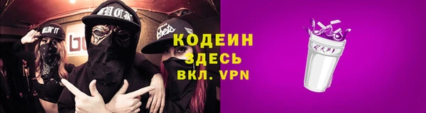 сатива Няндома