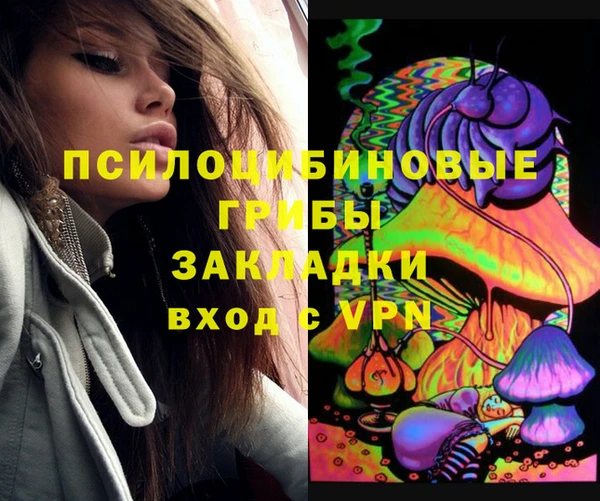 сатива Няндома