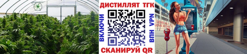 гидра маркетплейс  Новотроицк  ТГК концентрат 