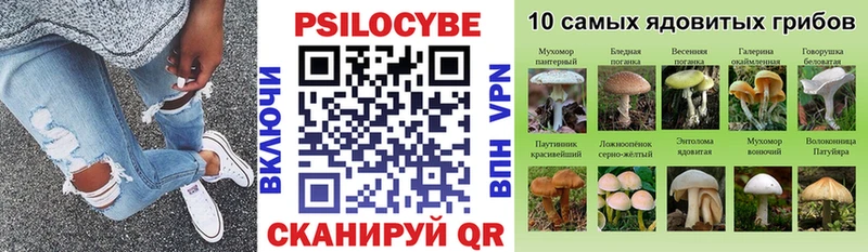 Псилоцибиновые грибы ЛСД blacksprut ссылка Новотроицк купить наркотик