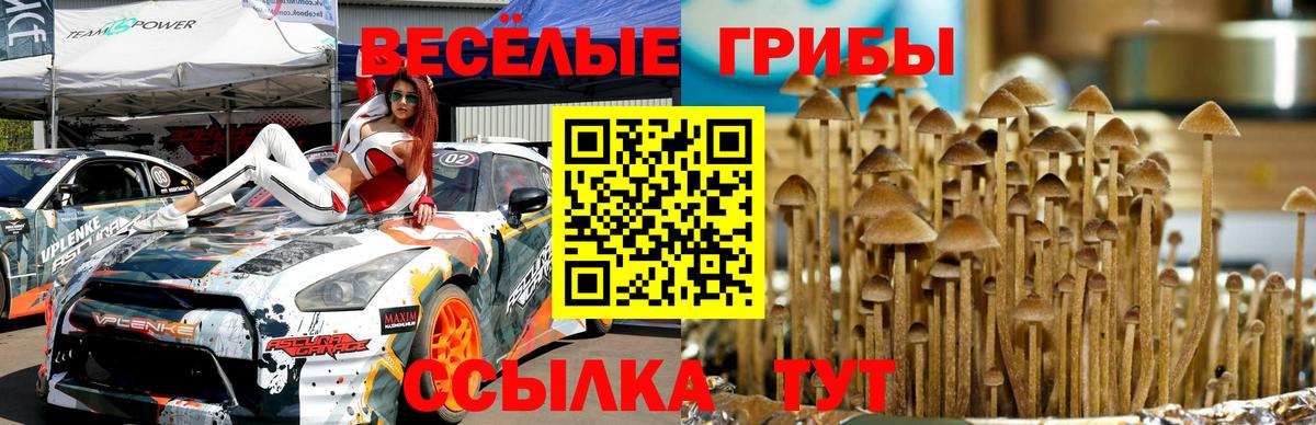 Псилоцибиновые грибы GOLDEN TEACHER  Галлюциногенные грибы Cubensis  Новотроицк  Вход с VPN 