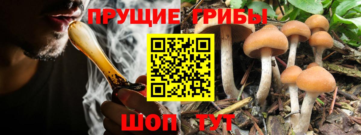 ГАШИШ Новотроицк